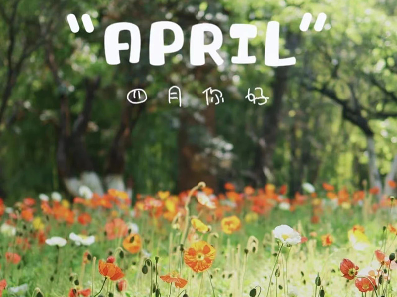 Souhaits d'anniversaire 丨 Joyeux anniversaire à ceux qui sont nés en avril