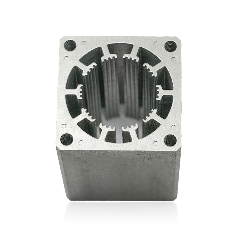 Rotor de moteur pas à pas